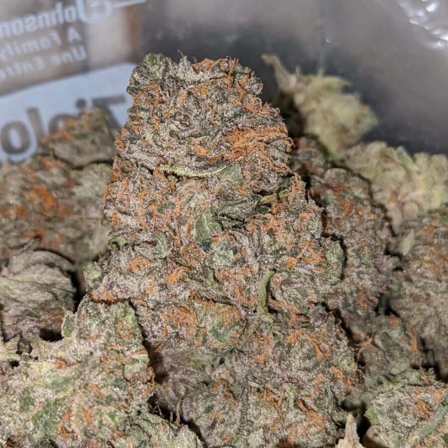 blueberry wreck dod 1 I Blueberry Wreck - *Deal Of The Day*