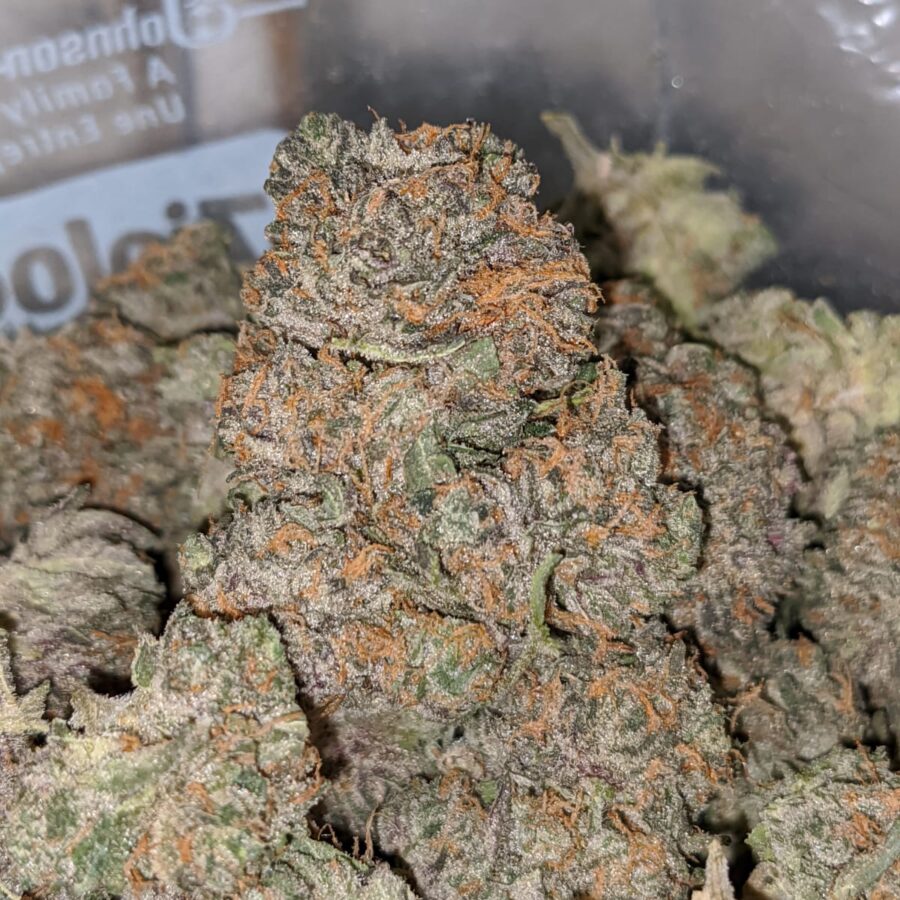 blueberry wreck dod 2 I Blueberry Wreck - *Deal Of The Day*