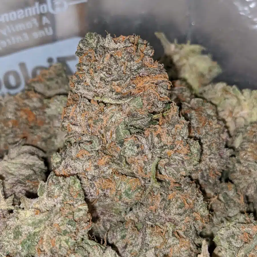 blueberry wreck dod 2 I Blueberry Wreck - *Deal Of The Day*