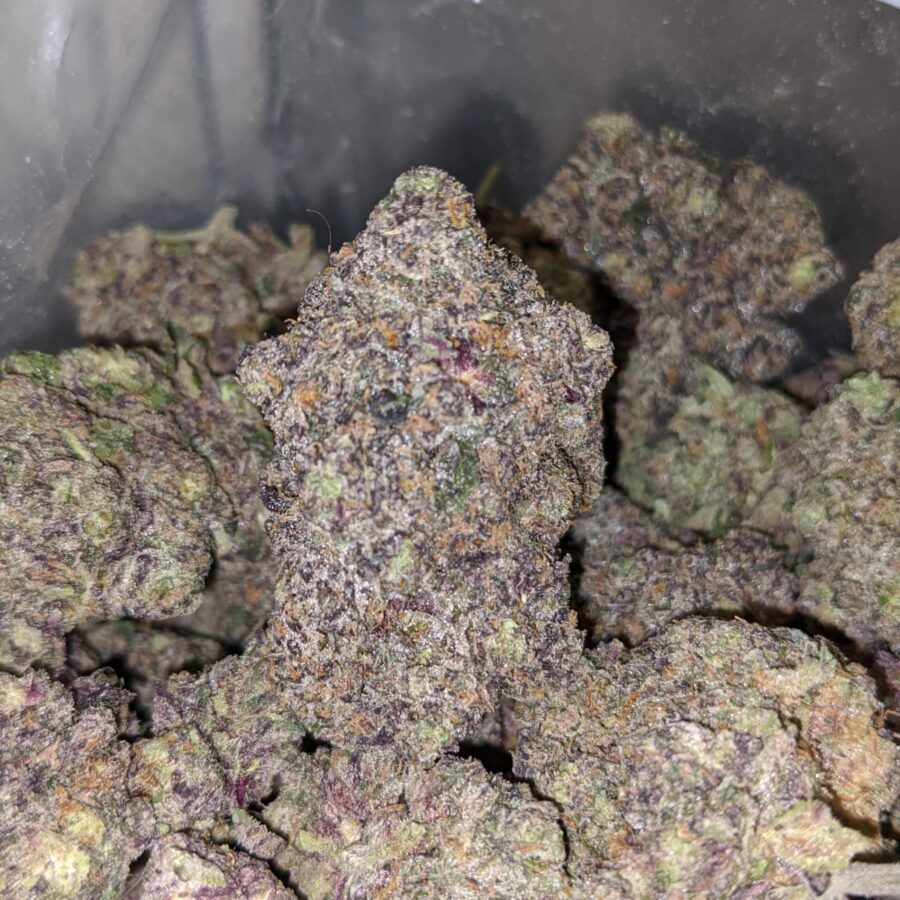 dark magacian 4 I Dark Magician - Oz Only