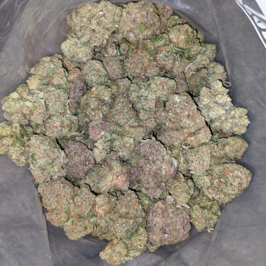 Dosi Punch - *Deal Of The Day* - Image 4