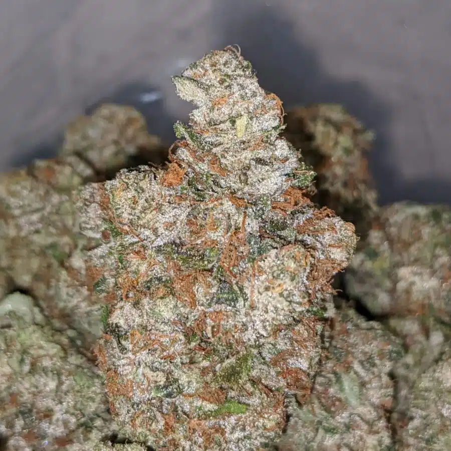 fire kush og 1 I Fire Kush OG