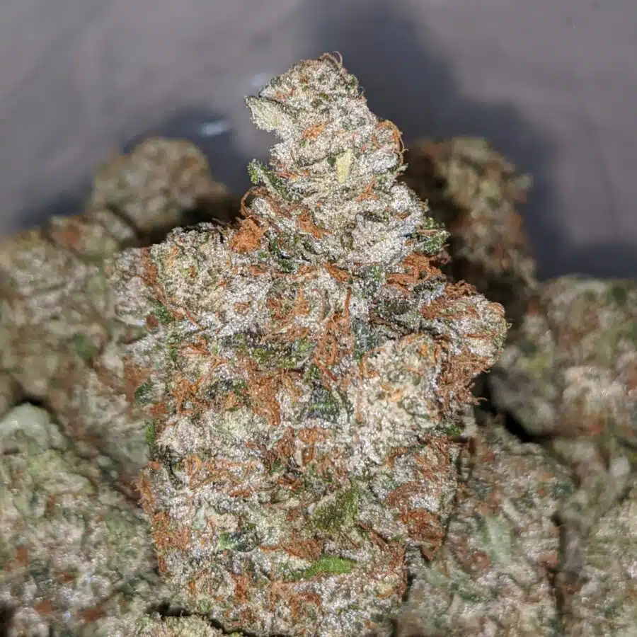 fire kush og 2 I Fire Kush OG