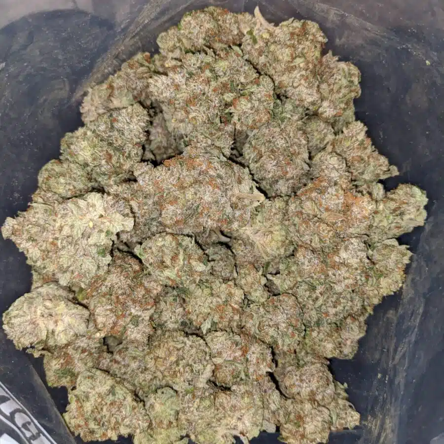 fire kush og 3 I Fire Kush OG