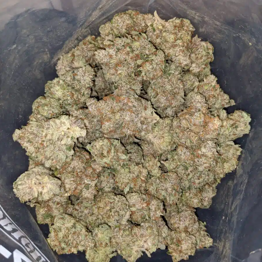 fire kush og 4 I Fire Kush OG