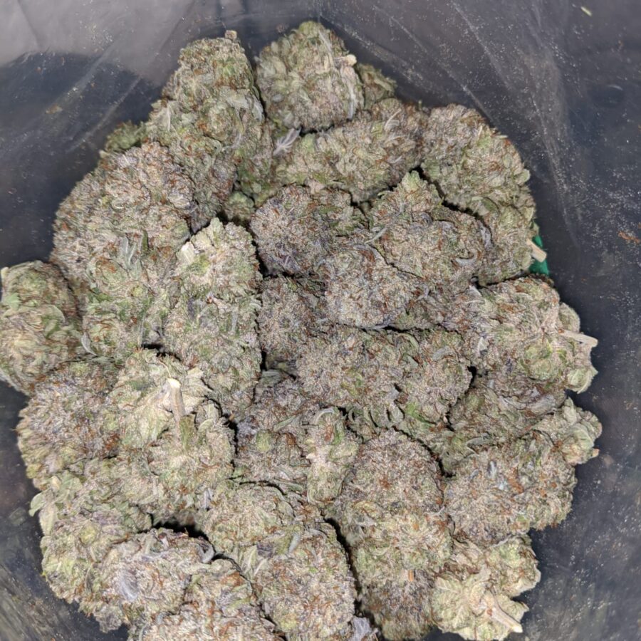 Frosted Flakes - Image 7