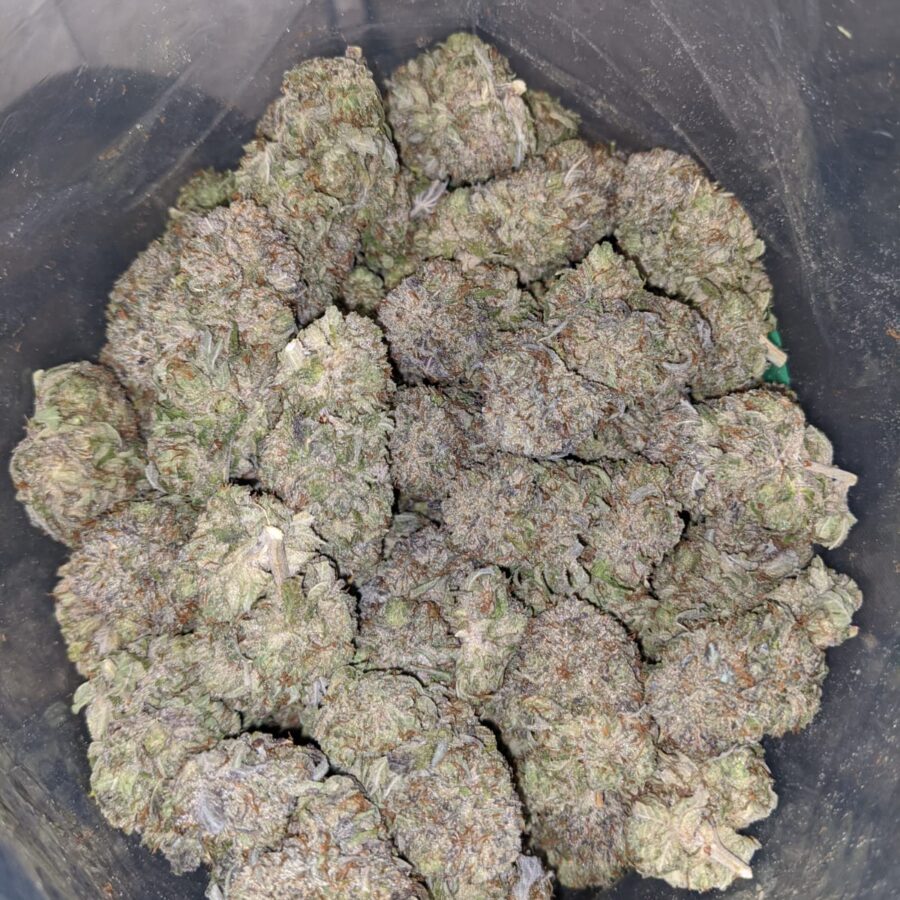 Frosted Flakes - Image 6