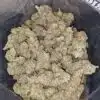 $71 - Golden Goat
