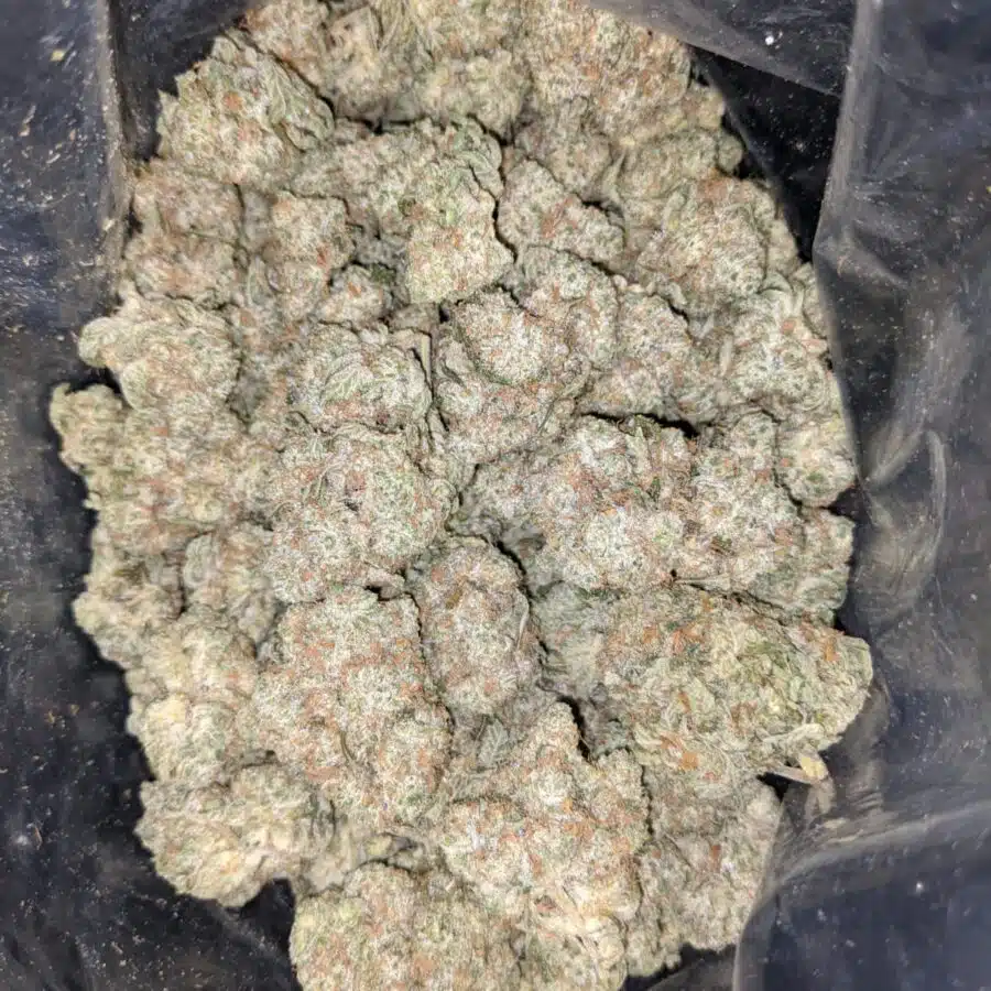 ice kush aaa 2 I Ice Kush AAA