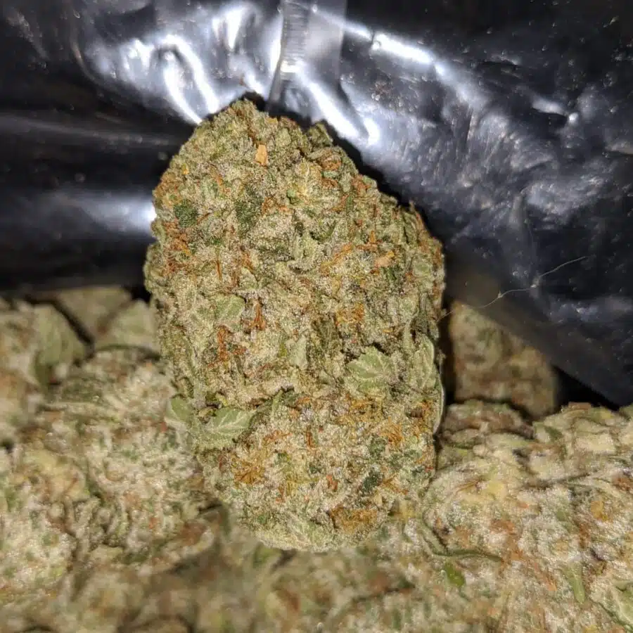 ice kush aaa 3 rotated I Ice Kush AAA