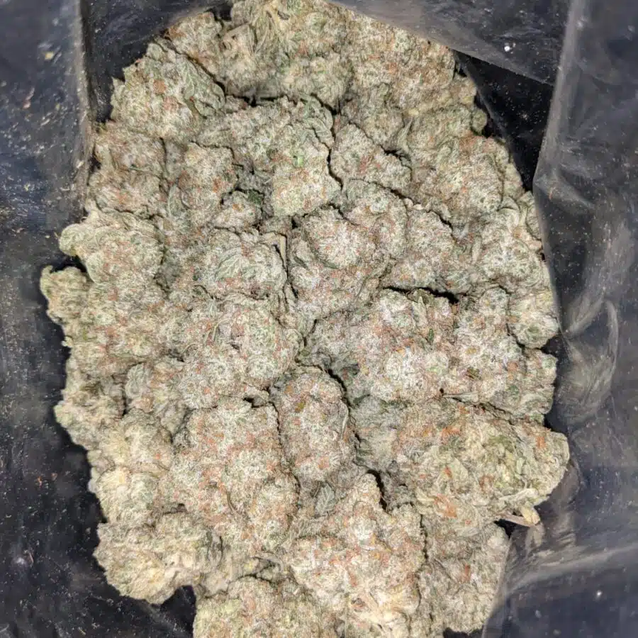 ice kush aaa 4 I Ice Kush AAA