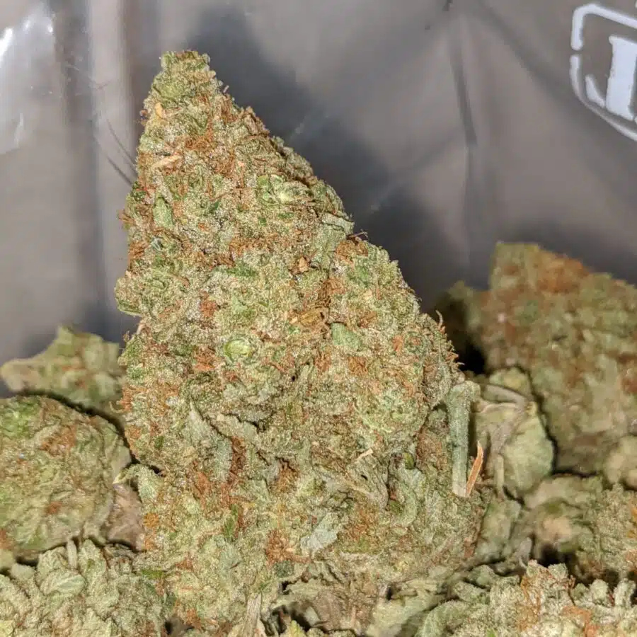 lemon haze dod 1 I Lemon Haze - *Deal Of The Day*
