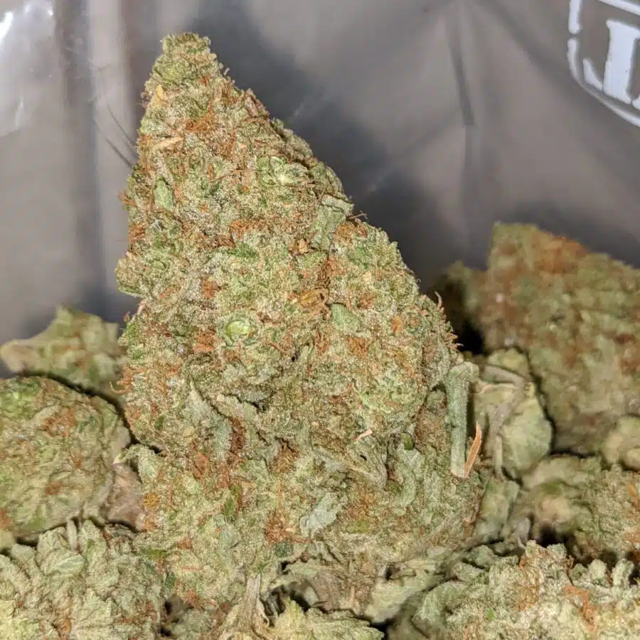 lemon haze dod 2 I Lemon Haze - *Deal Of The Day*