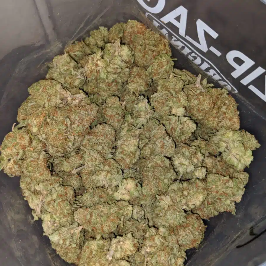 lemon haze dod 3 I Lemon Haze - *Deal Of The Day*