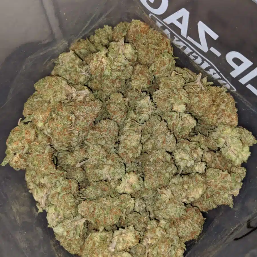 lemon haze dod 4 I Lemon Haze - *Deal Of The Day*
