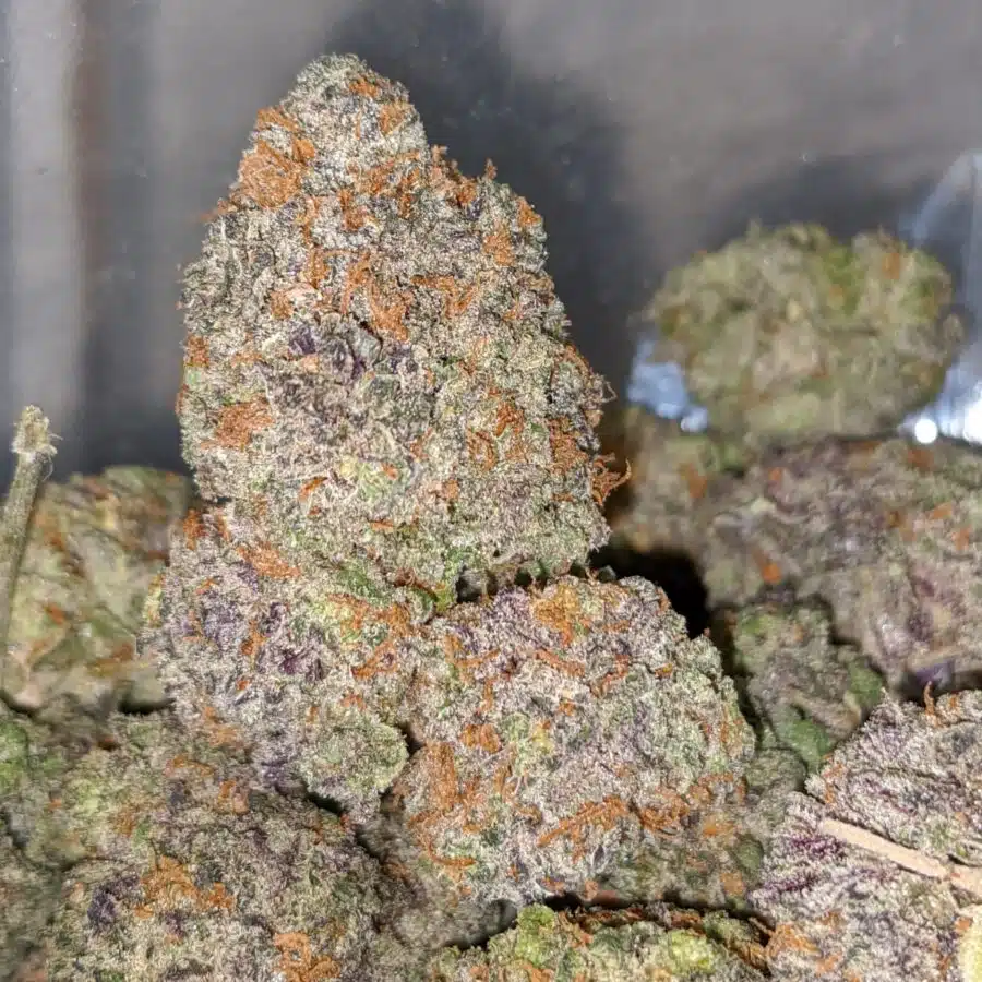 lemonade cough 2 I Lemonade Cough