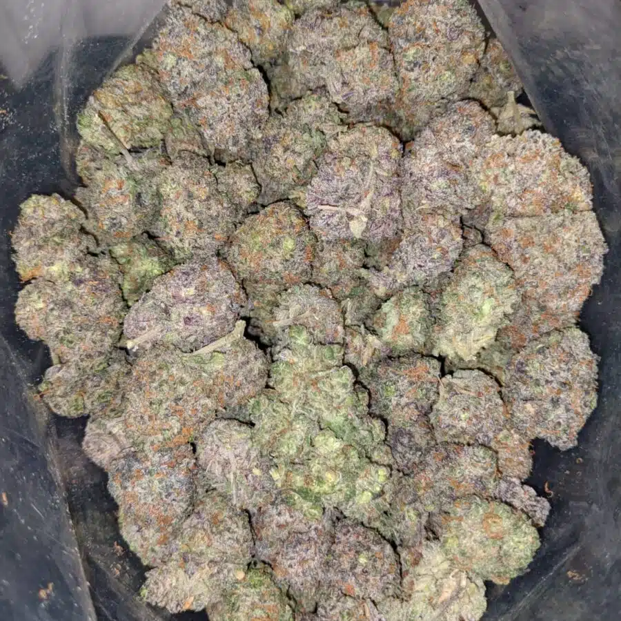 lemonade cough 3 I Lemonade Cough
