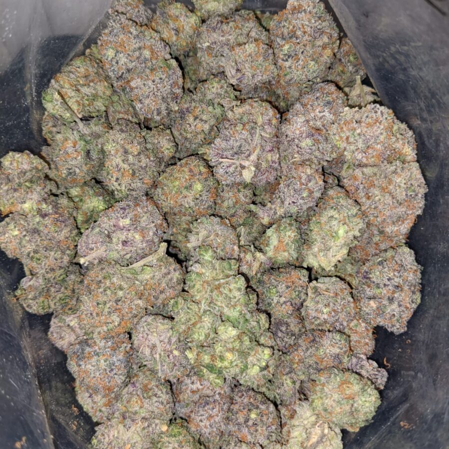 lemonade cough 4 I Lemonade Cough