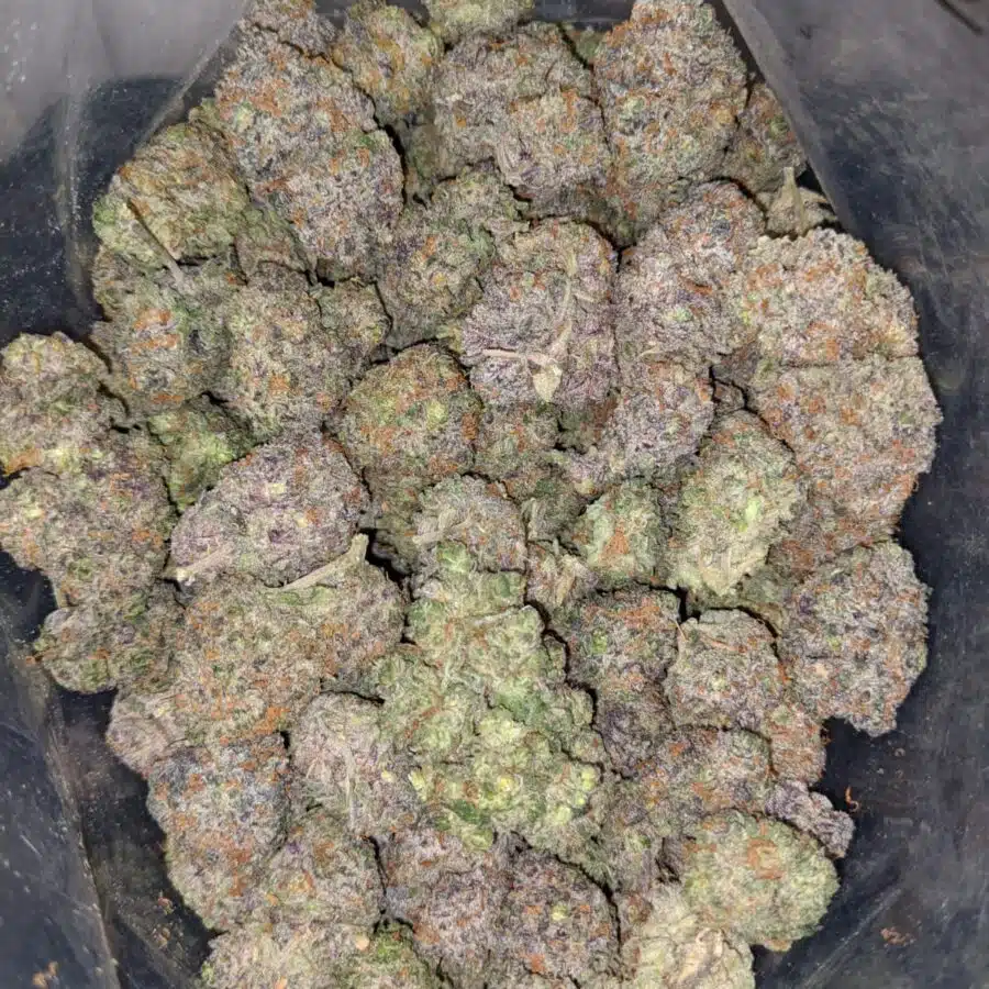 lemonade cough 4 I Lemonade Cough