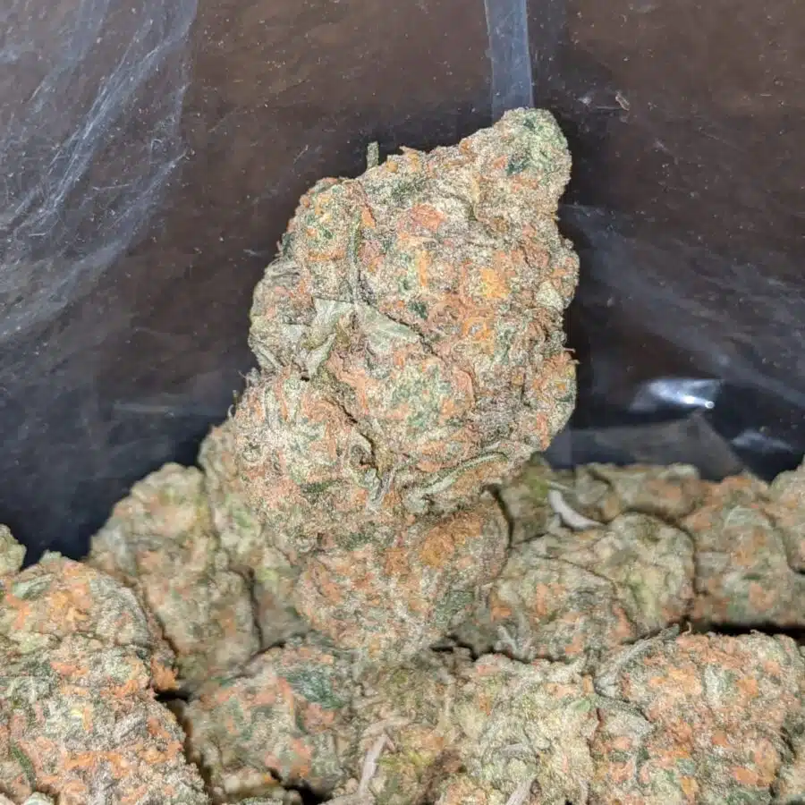moby dick 1 I Moby Dick