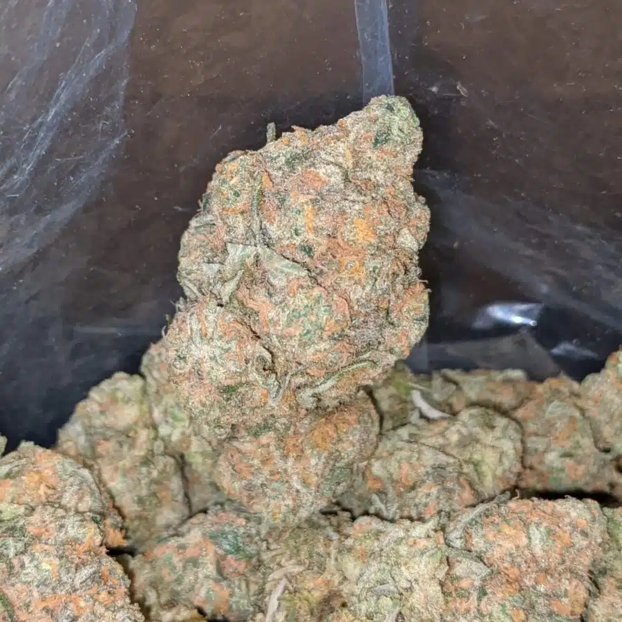 moby dick 2 I Moby Dick