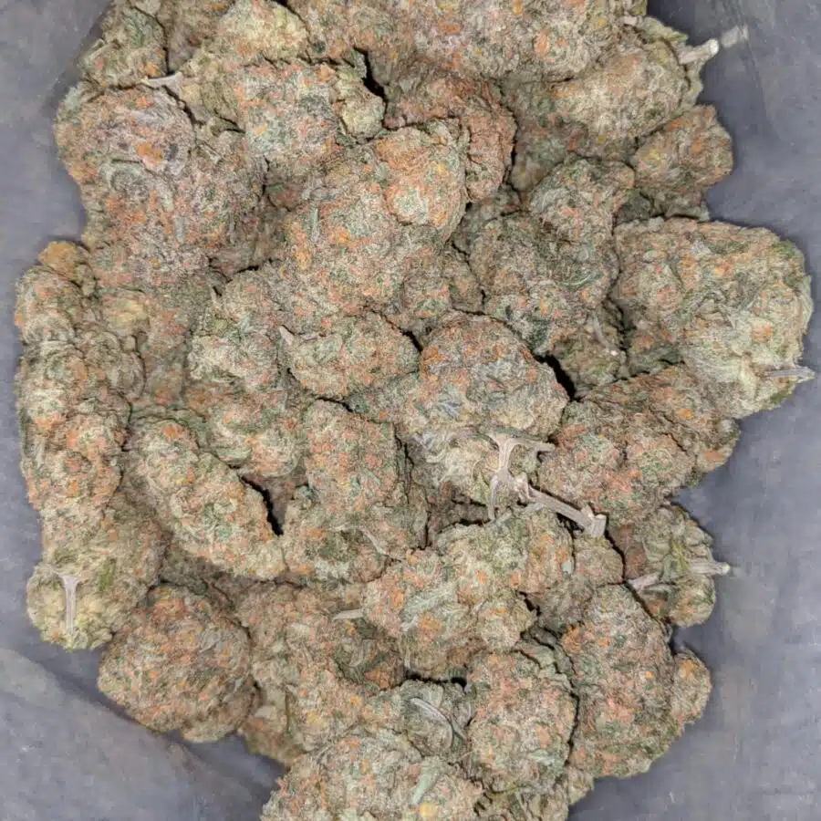 moby dick 4 I Moby Dick
