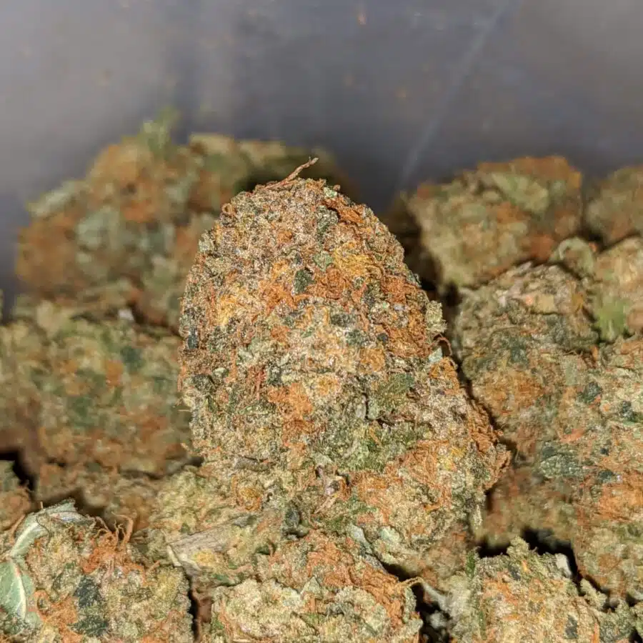 orange kush dod 2 I Orange Candy Smalls