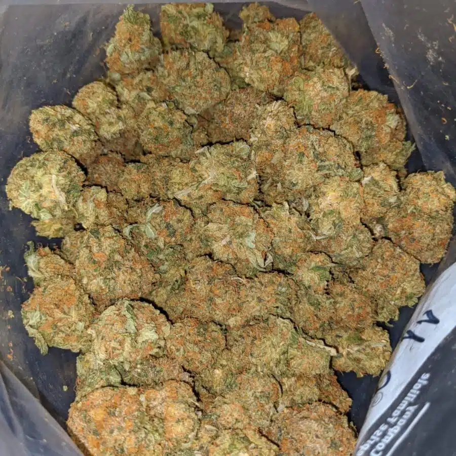 orange kush dod 3 I Orange Candy Smalls