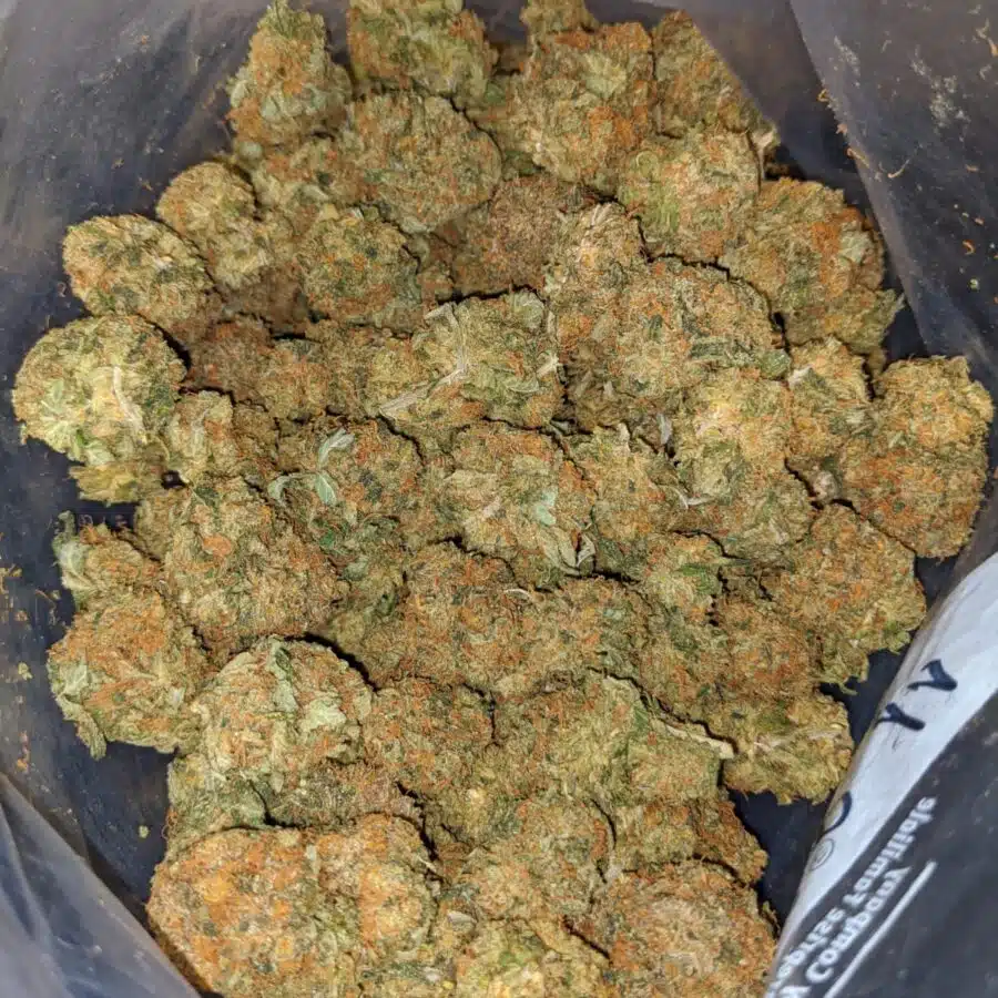 orange kush dod 4 I Orange Candy Smalls