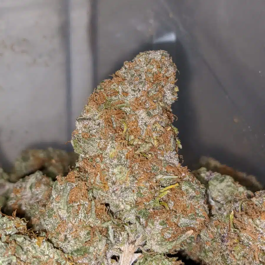 pineapple express 1 I Pineapple Express