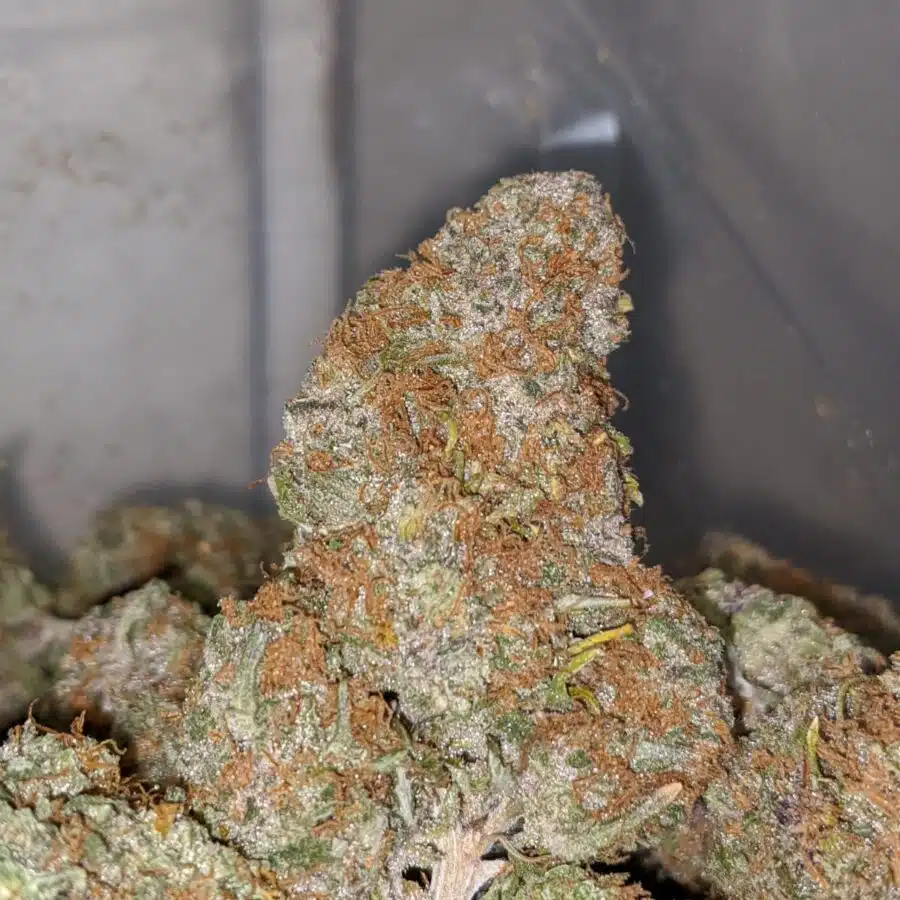 pineapple express 2 I Pineapple Express