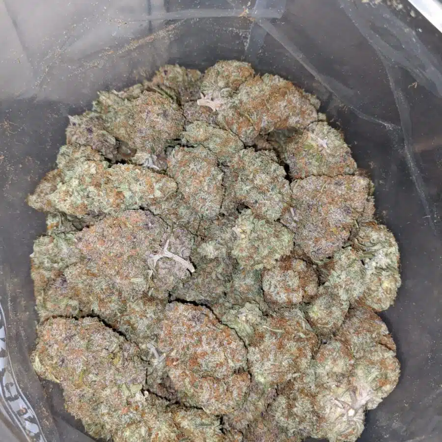 pineapple express 3 I Pineapple Express