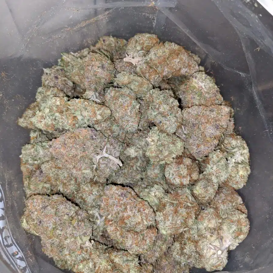 pineapple express 4 I Pineapple Express