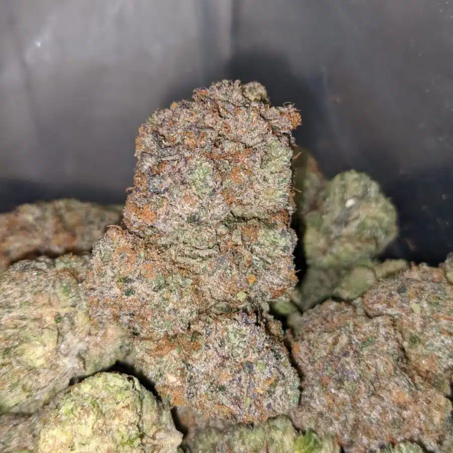 pink bubba 3 I $ 120 Oz - Pink Bubba