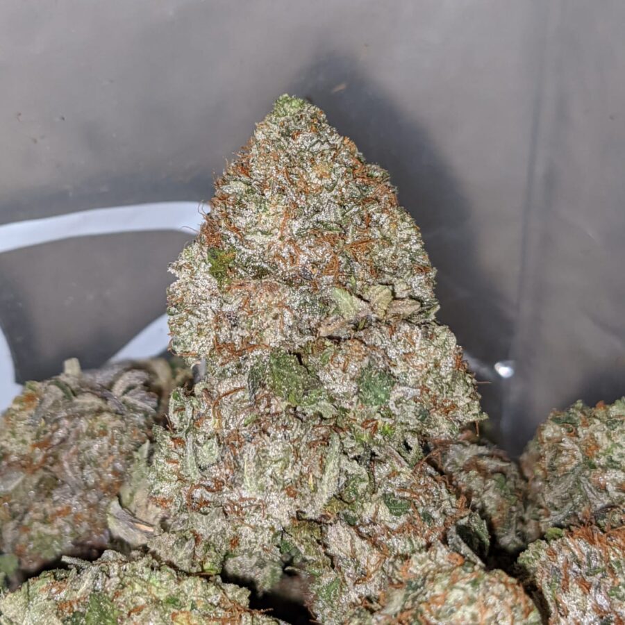 Pink Bubba - *Deal of the Day* - Image 3