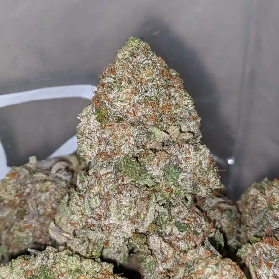 Alternative view of Pink Bubba - *Deal of the Day*