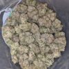 Pink Bubba - *Deal of the Day*