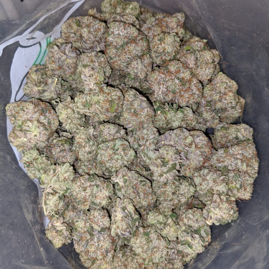 Pink Bubba - *Deal of the Day*