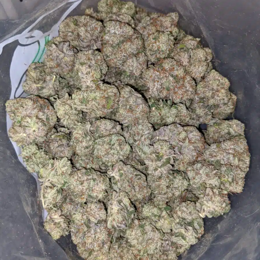 Pink Bubba - *Deal of the Day*