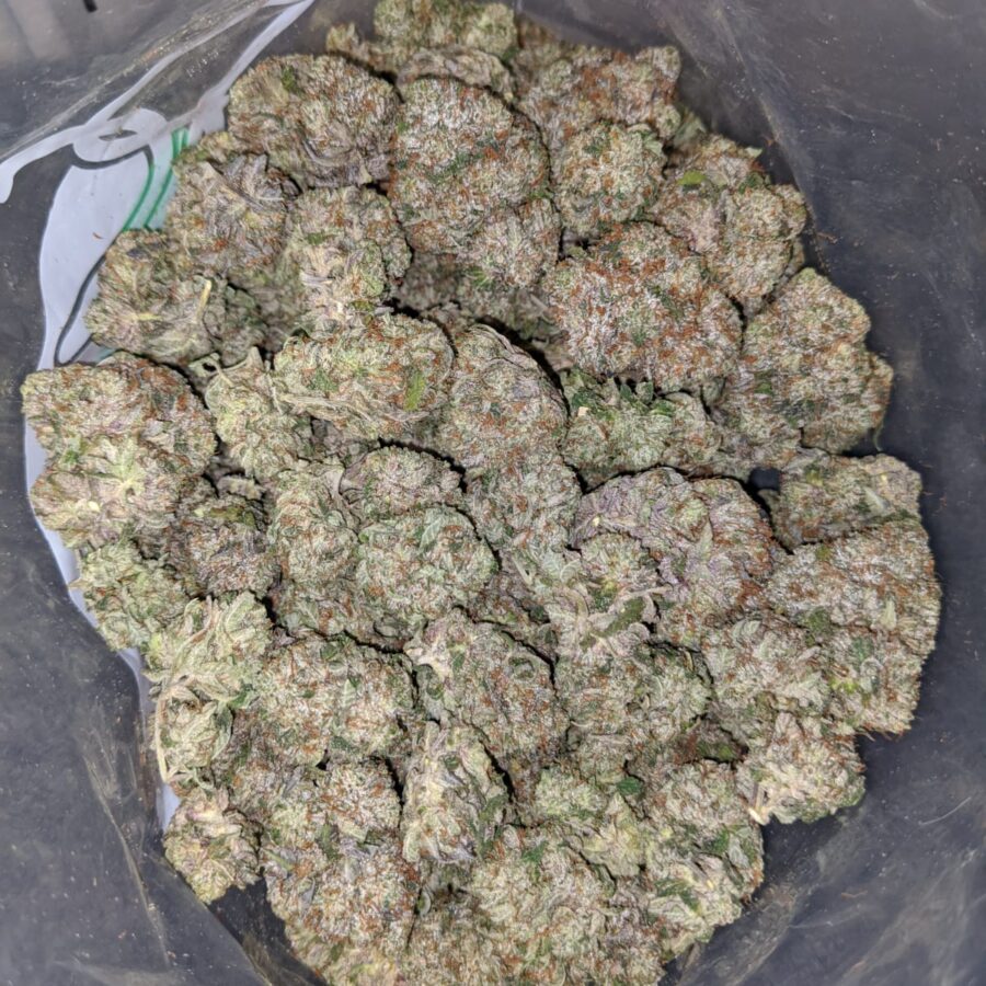 Pink Bubba - *Deal of the Day* - Image 4