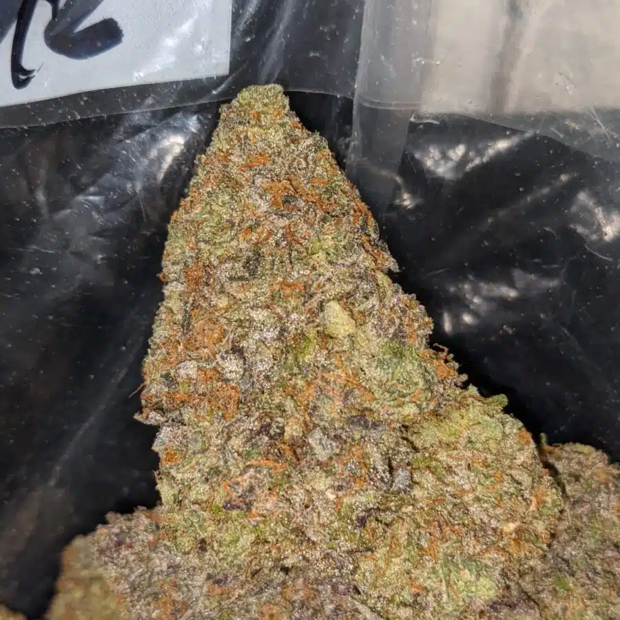 pink bubblegum dod 3 I Pink Bubblegum - *Deal Of The Day*