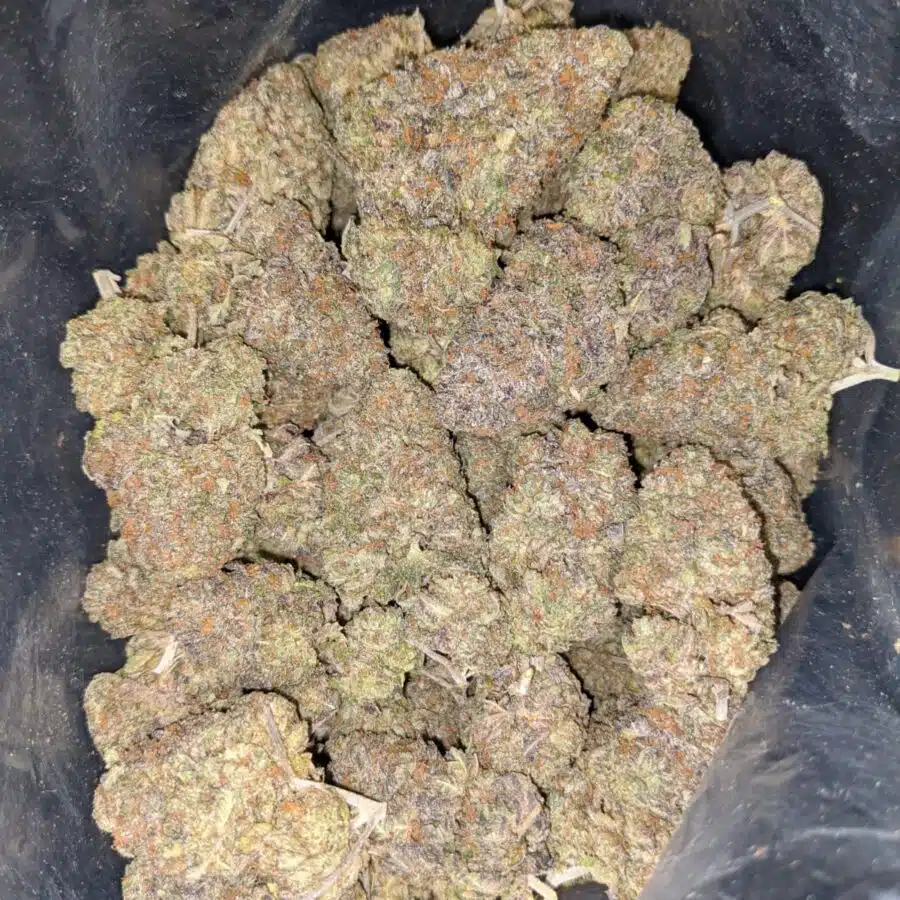 pink bubblegum dod 4 I Pink Bubblegum - *Deal Of The Day*