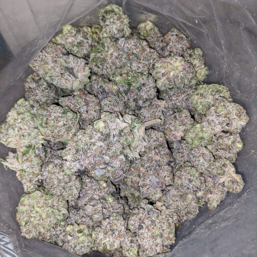 Pink Gorilla AAAA+ - Image 7