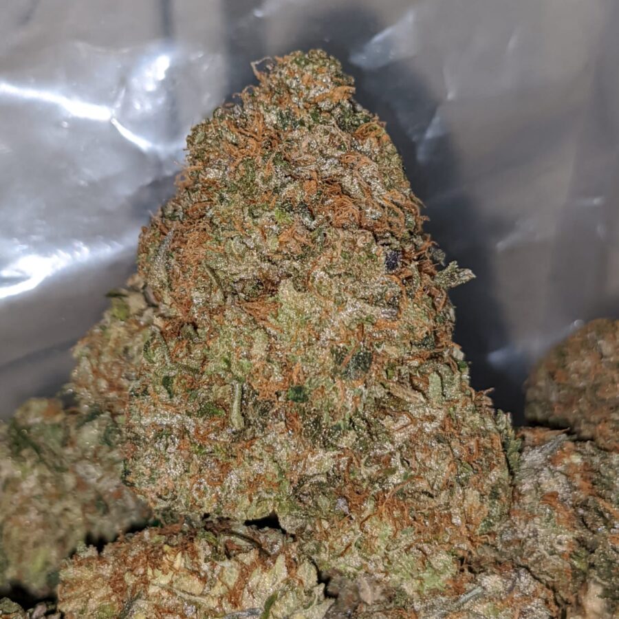pink tar aaa 4 I Pink Tar AAA