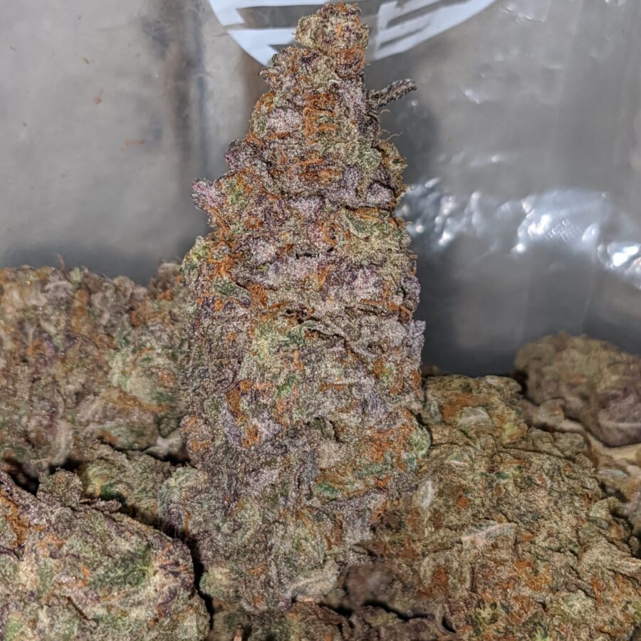 purple comet 1 I Purple Comet