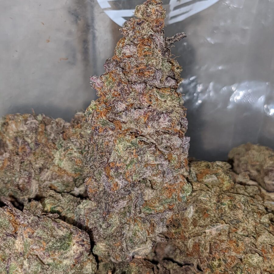purple comet 2 I Purple Comet