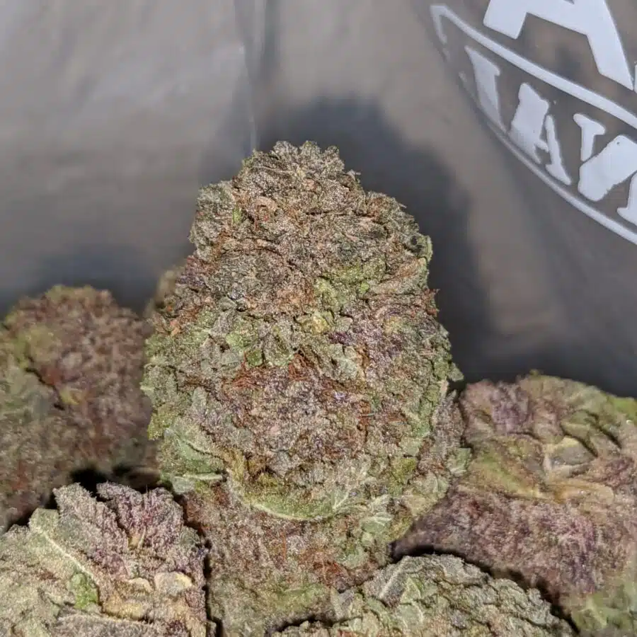 purple mamba aaa 1 I Purple Mamba AAA