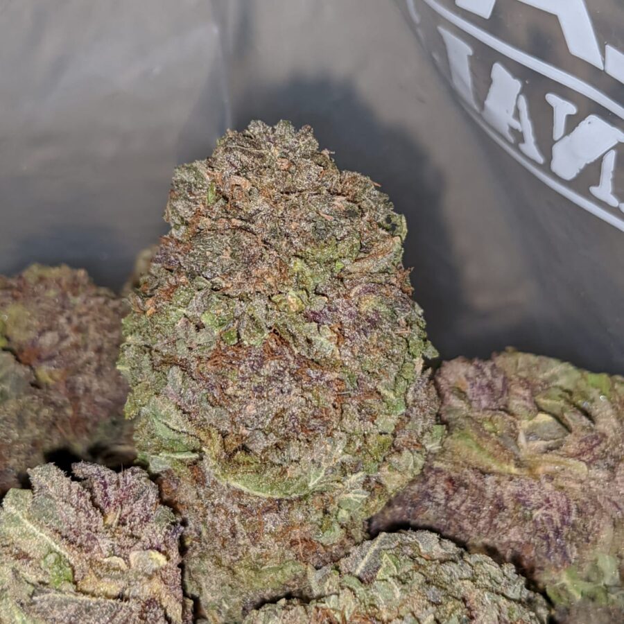 purple mamba aaa 2 I Purple Mamba AAA
