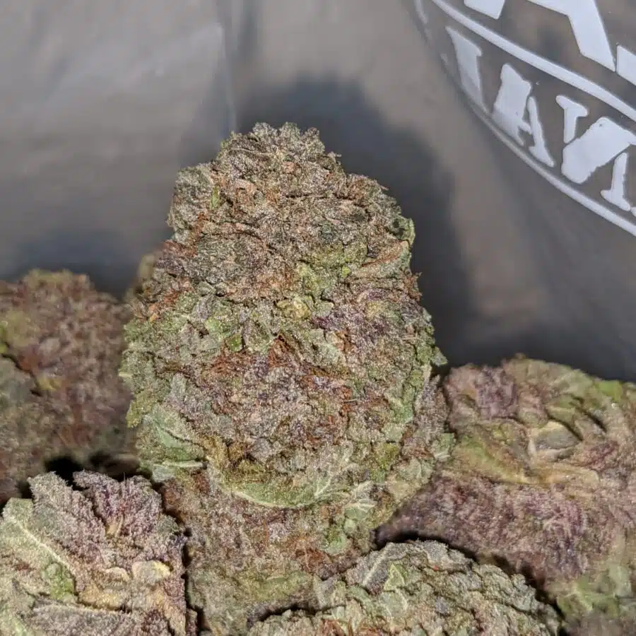 purple mamba aaa 2 I Purple Mamba AAA