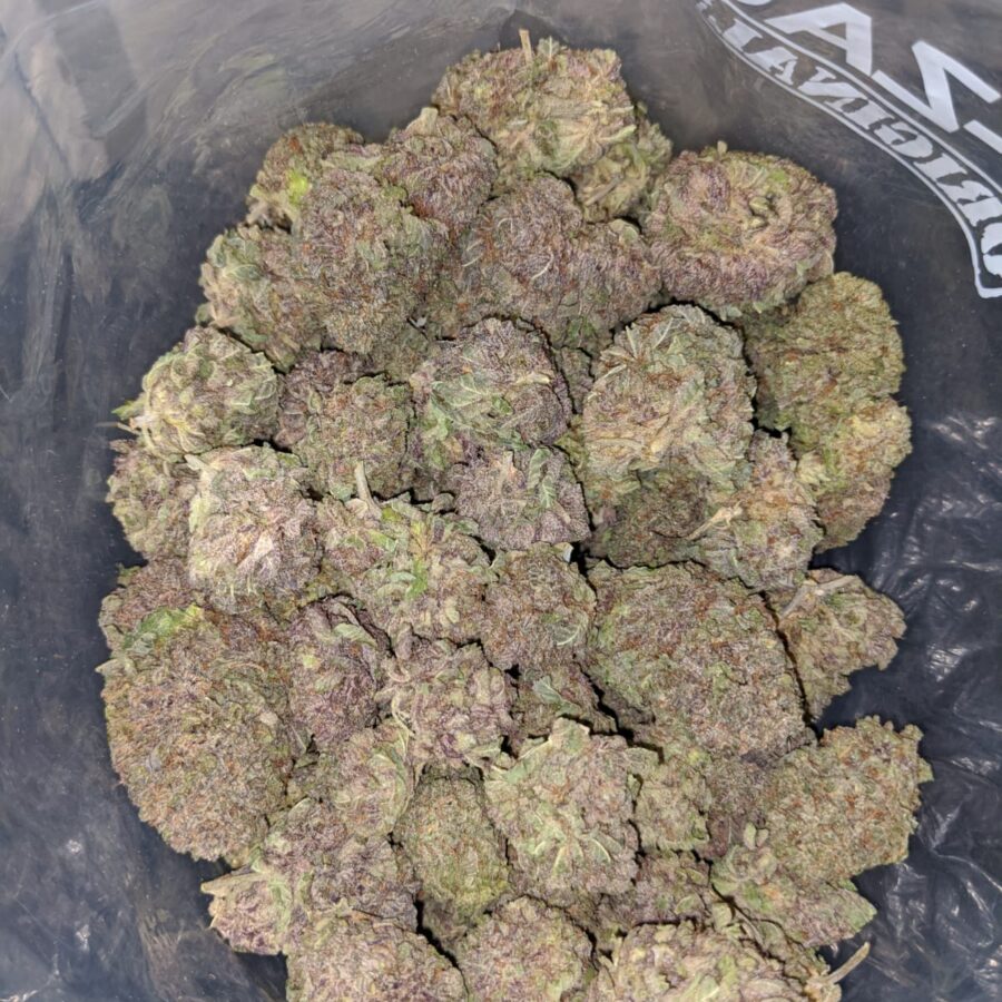purple mamba aaa 3 I Purple Mamba AAA